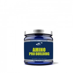 AMINO PRO BUILDING